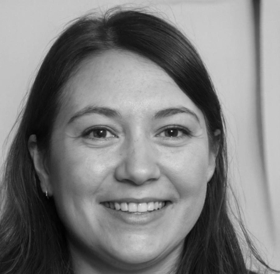 Hildrun Teschke, Strategische Risikoanalyse